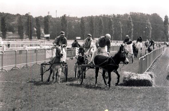 Tour de France 1970. Course de sulkies avec des ânes à l’hippodrome.